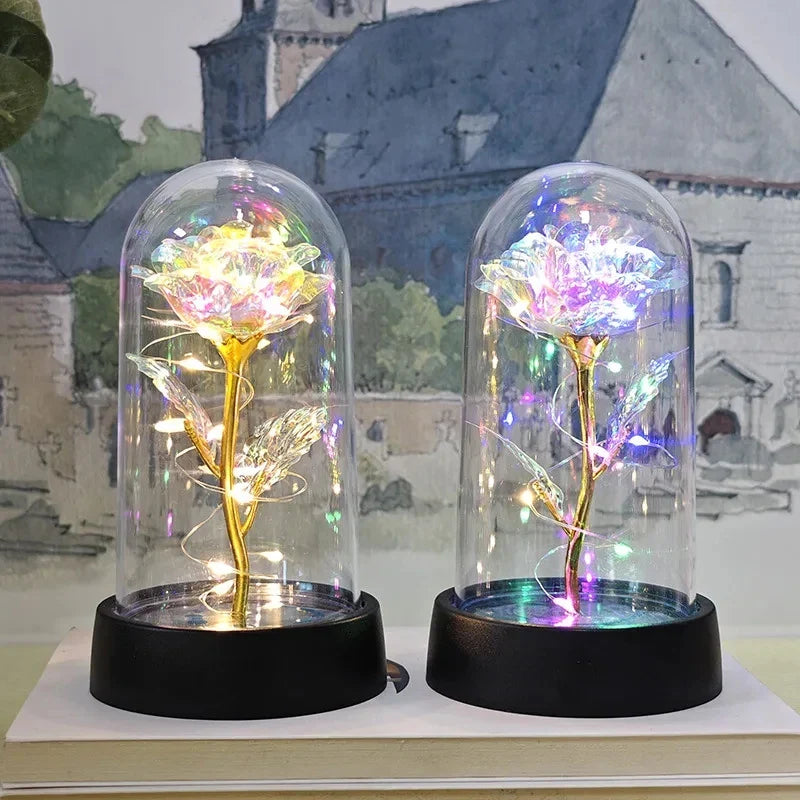 Enchanted Galaxy Light Rose