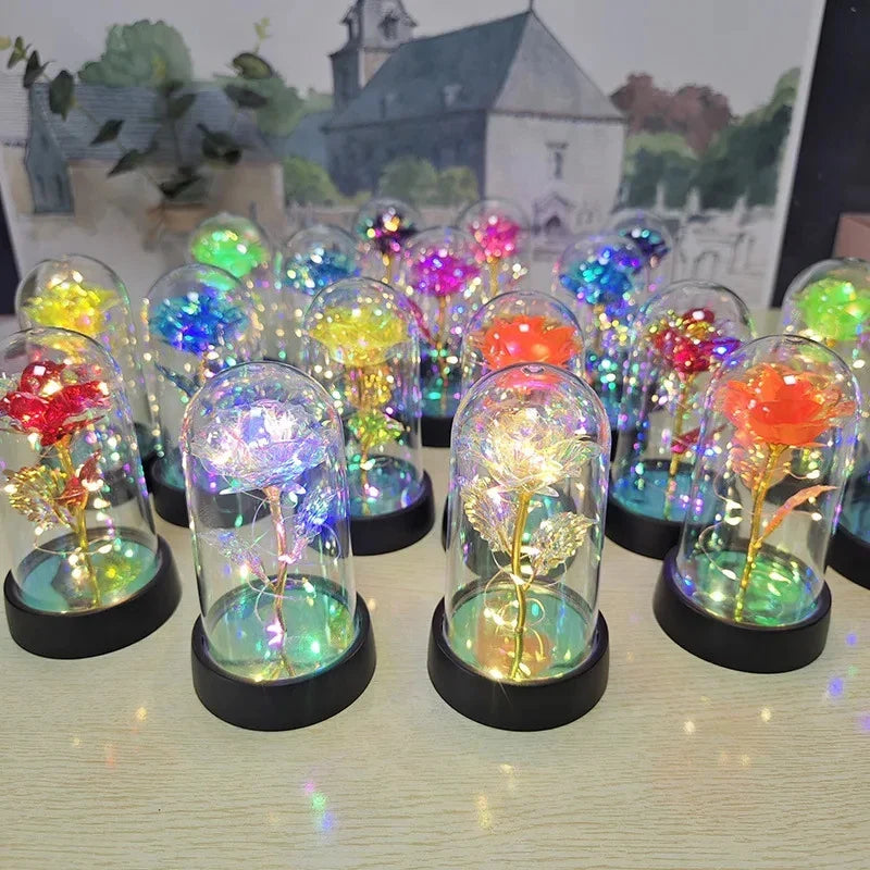 Enchanted Galaxy Light Rose